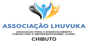 Logótipo: Parceiro programático 2